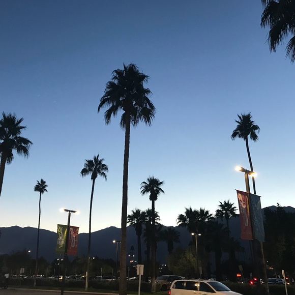 Meet your Posher, Bella - Picture 1 of 1